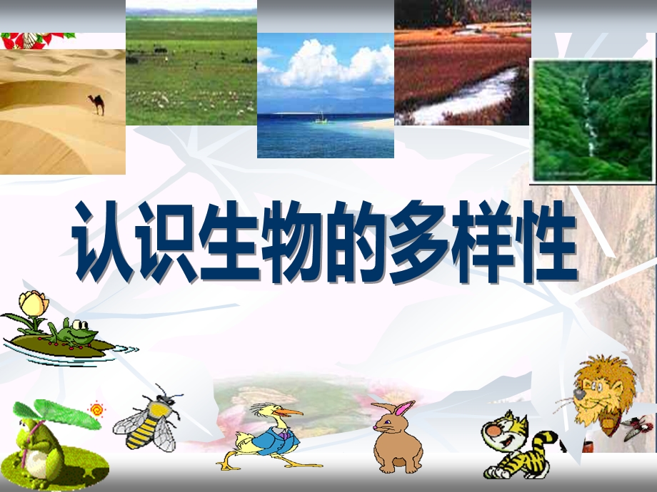 《认识生物的多样性》课件.ppt_第1页