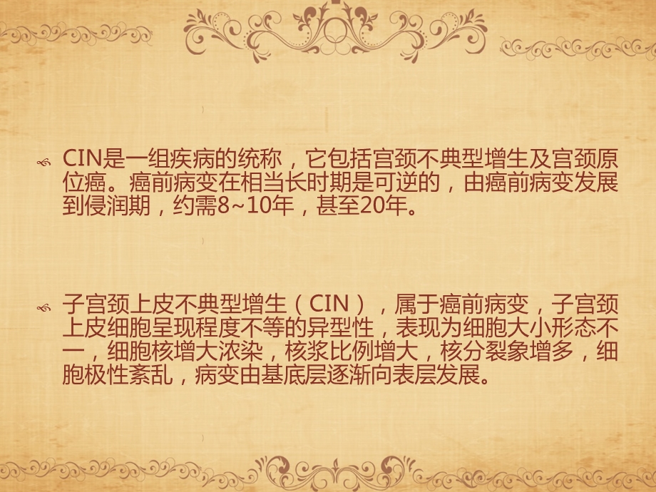 CIN与宫颈健康概要课件.ppt_第3页