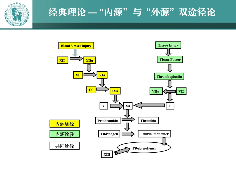 获得性凝血病ppt课件汇编.ppt_第3页