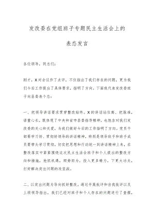 发改委在党组班子专题民主生活会上的表态发言.docx