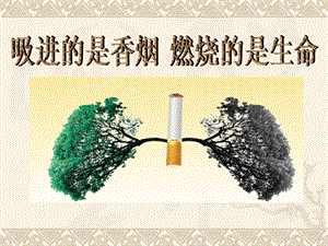《吸烟有害健康》主题班会课件.ppt
