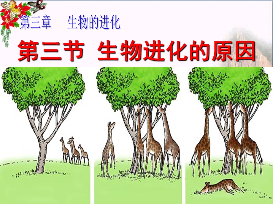 《生物进化的原因》生物的进化-课件.ppt_第1页