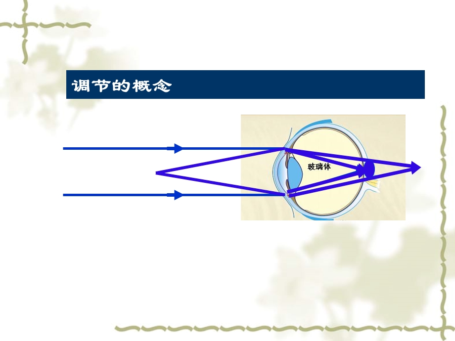 一调节与集合课件.ppt_第2页