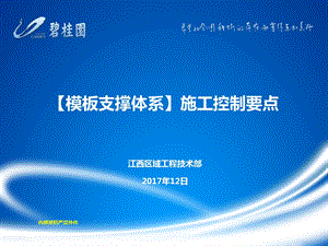 交底文件模板支撑体系施工控制要点课件.pptx