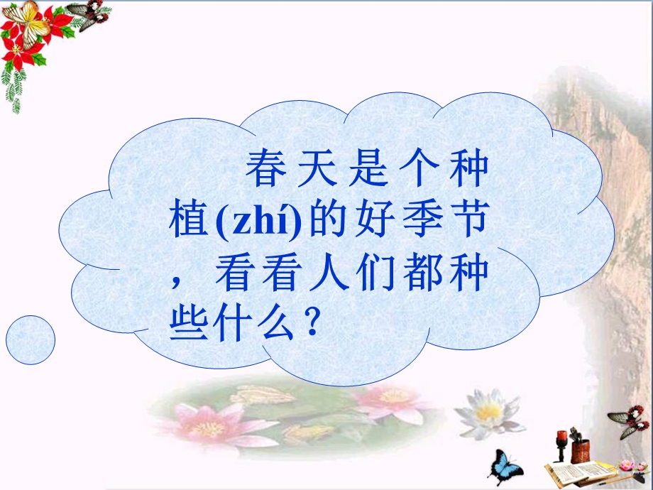 《小苗快快长》走进大自然课件.ppt_第2页