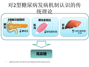 GLP-1相关背景幻灯讲课稿课件.ppt