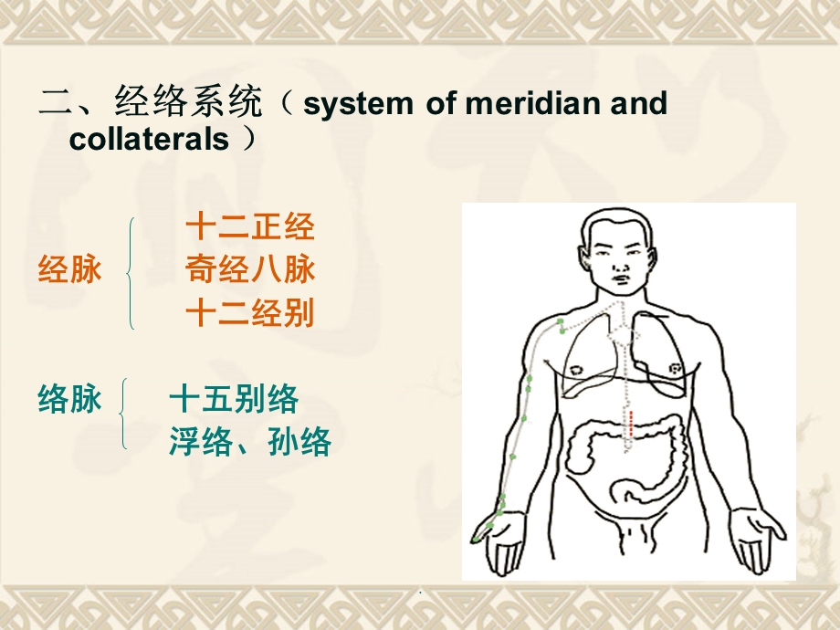 保健按摩基础—经络学说课件.ppt_第3页