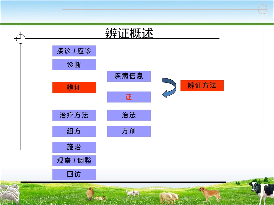 中兽医之辩证课件.pptx_第3页