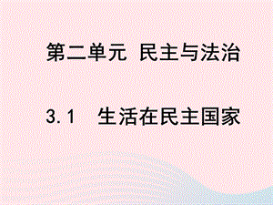 九年级道德与法治上册第二单元民主与法治复习ppt课件新人教版.ppt