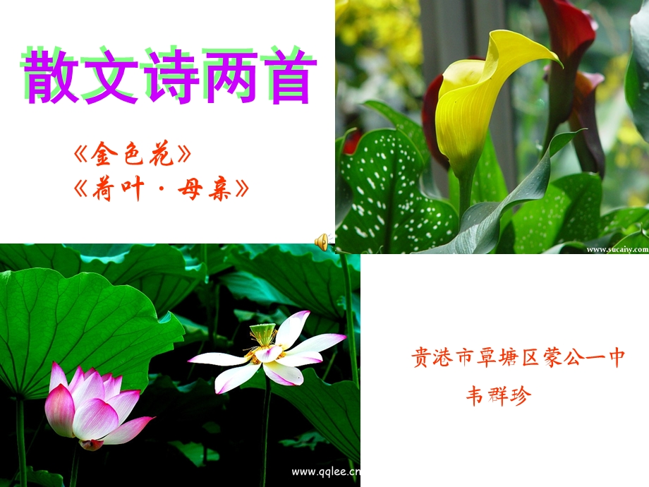 《散文诗两首》课件.ppt_第2页