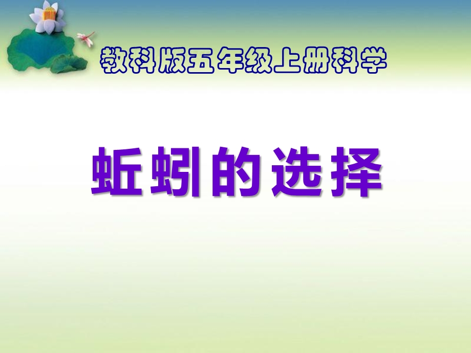 《蚯蚓的选择》生物与环境优秀ppt课件.ppt_第1页