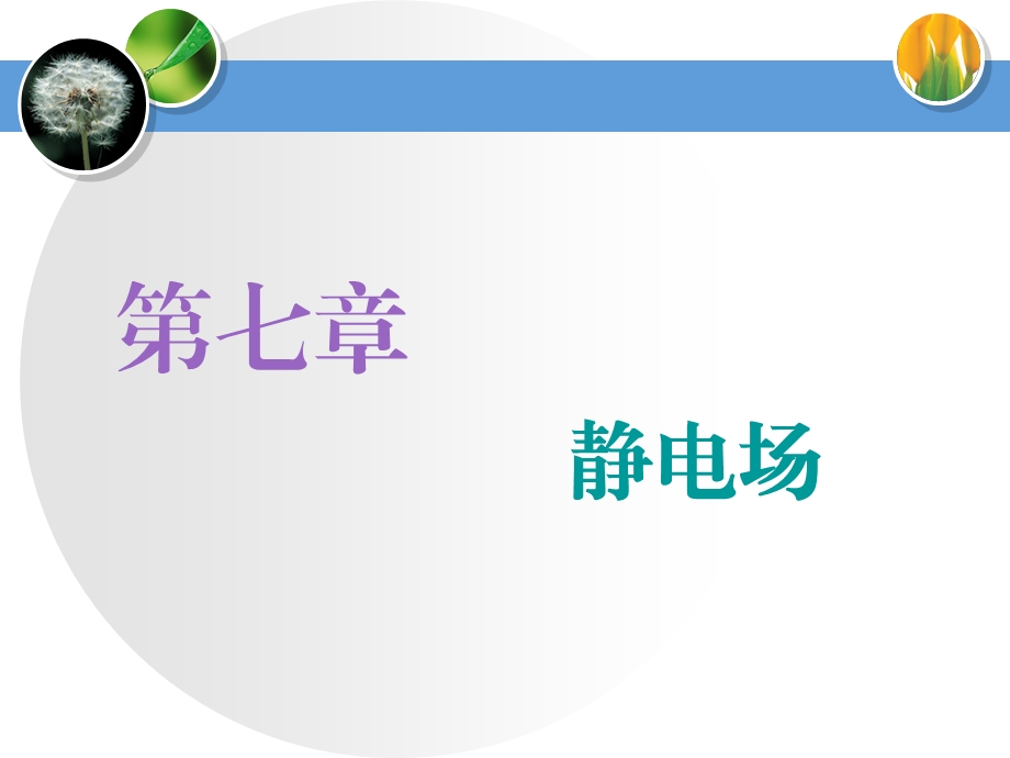 2021届高三物理一轮复习ppt课件：电场力的性质.ppt