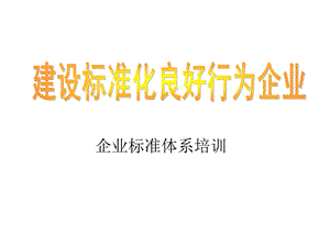 企业标准化体系讲稿课件.ppt