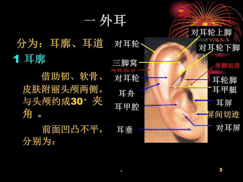 耳解剖课件.ppt_第3页