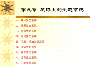 第九章地球上的生态系统课件.ppt