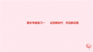 九年级道德与法治上册期末专题复习一迈进新时代开启新征程习题ppt课件新人教版.ppt