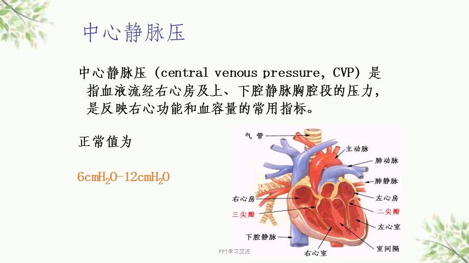 中心静脉压的测量及临床意义ppt课件.ppt_第2页