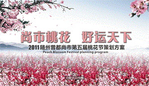 某市桃花节策划方案.ppt