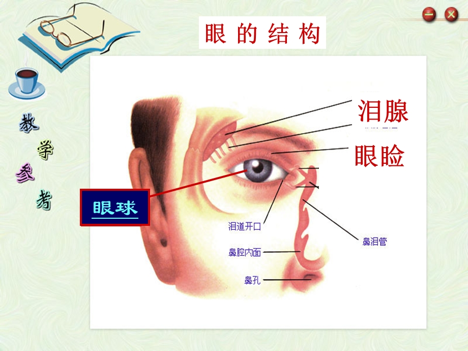 眼球结构及视觉.ppt.ppt_第2页