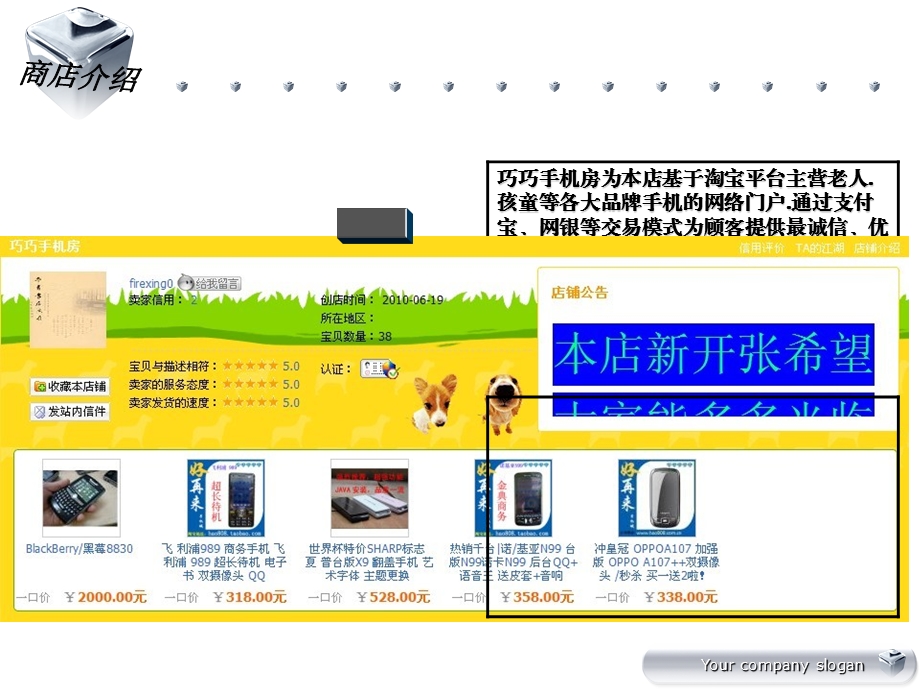 网店策划书.ppt_第3页