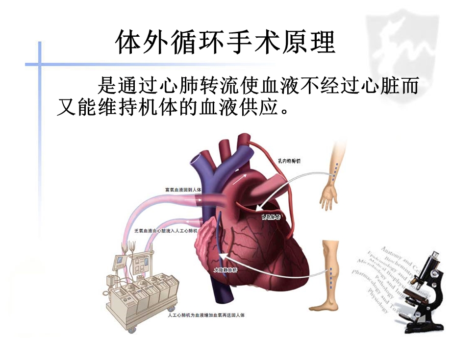 体外循环护理常规0327.ppt_第3页