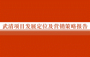 易居天津武清项目发展定位及营销策略报告.ppt