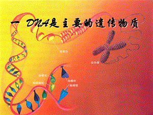 高中生物《DNA是主要的遗传物质》精品课件.ppt