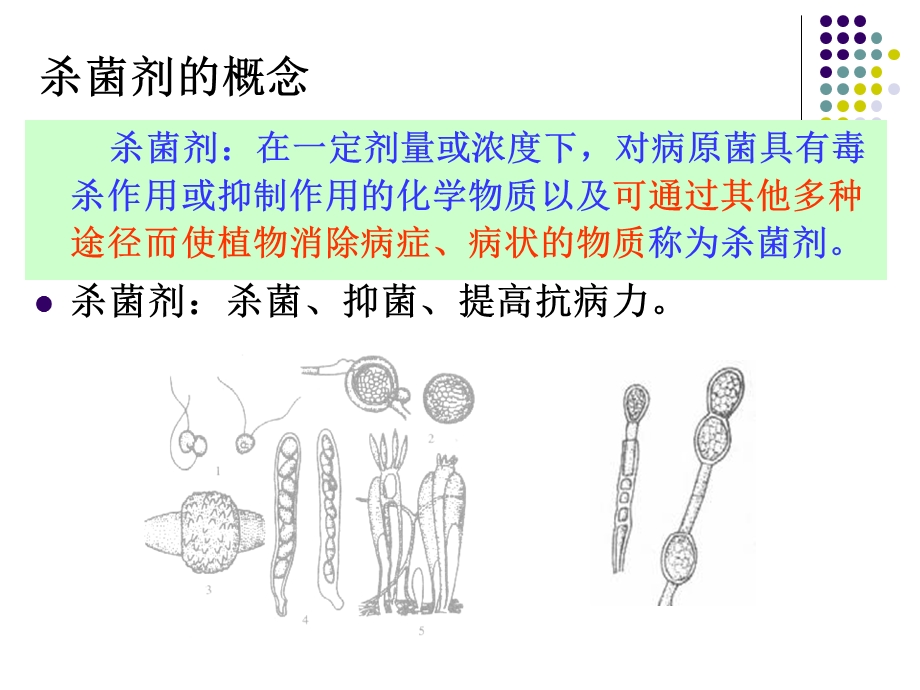 杀菌剂 7 章.ppt.ppt_第2页