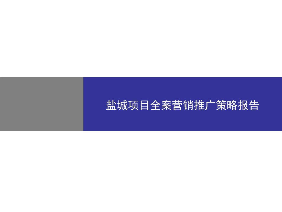 盐城项目全案营销推广策略报告47p.ppt_第1页