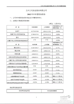 三毛派神：半财务报告.ppt