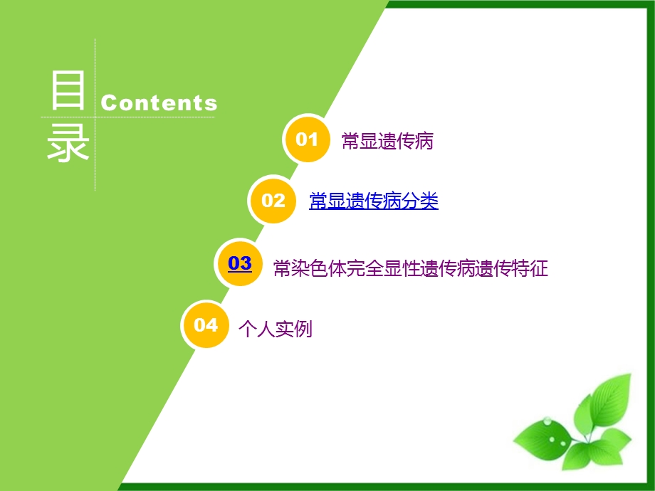 常染色体显性遗传病.ppt_第2页