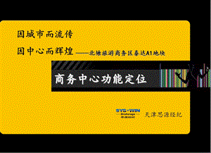 思源天津北塘旅游商务区泰达A1地块商务中心功能定位.ppt