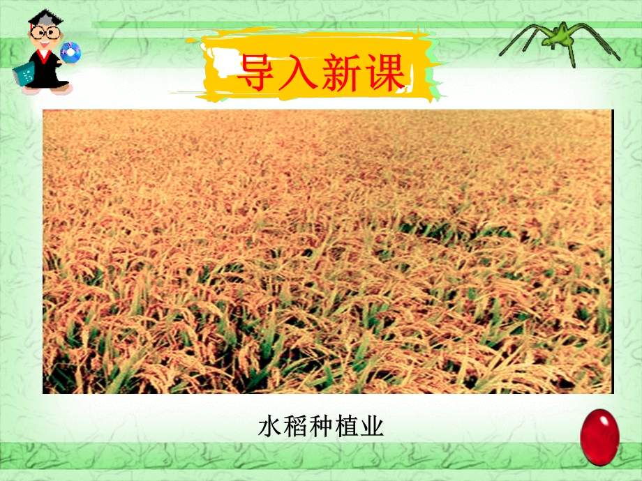 第二节 以种植业为主的农业地域类型(PPT62).ppt_第1页