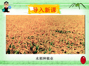 第二节 以种植业为主的农业地域类型(PPT62).ppt