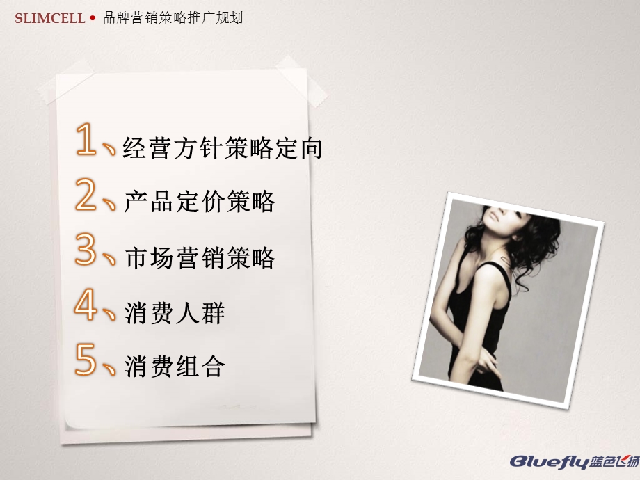 品牌营销策略推广规划.ppt_第2页