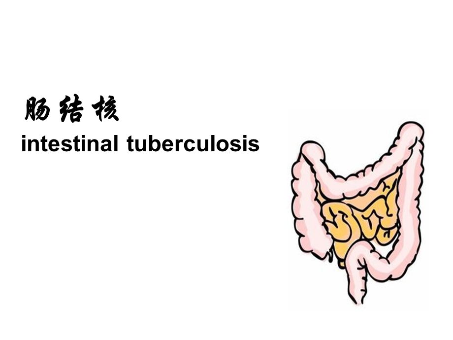 内科护理肠结核及结核性腹膜炎.ppt_第2页