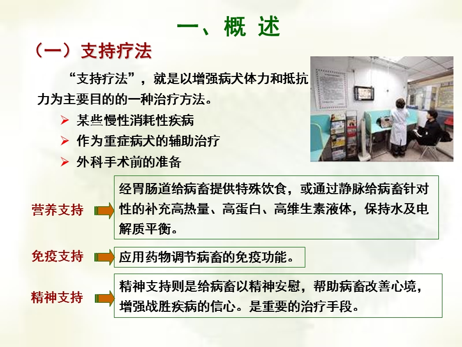 支持疗法在宠物临床中的应用.ppt_第3页