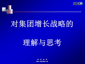 顺驰集团对集团增长战略的思考.ppt