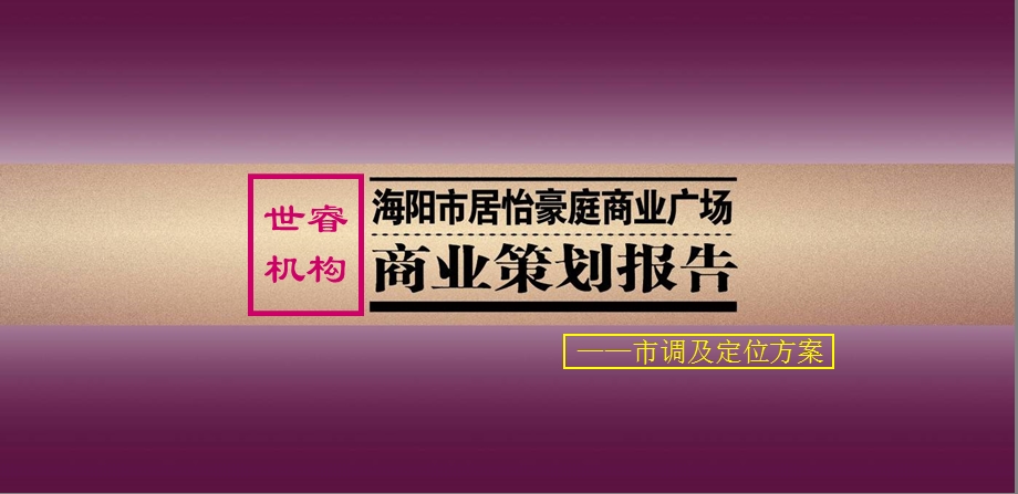 山东海阳市居怡豪庭商业广场市调及定位方案（49页.ppt_第1页