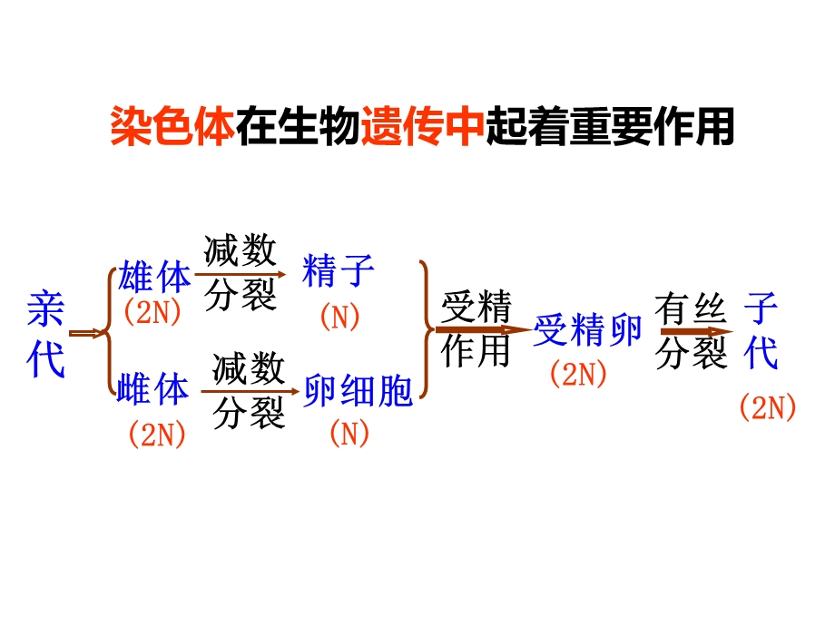 人教版高中生物课件：DNA是主要的遗传物质.ppt_第2页