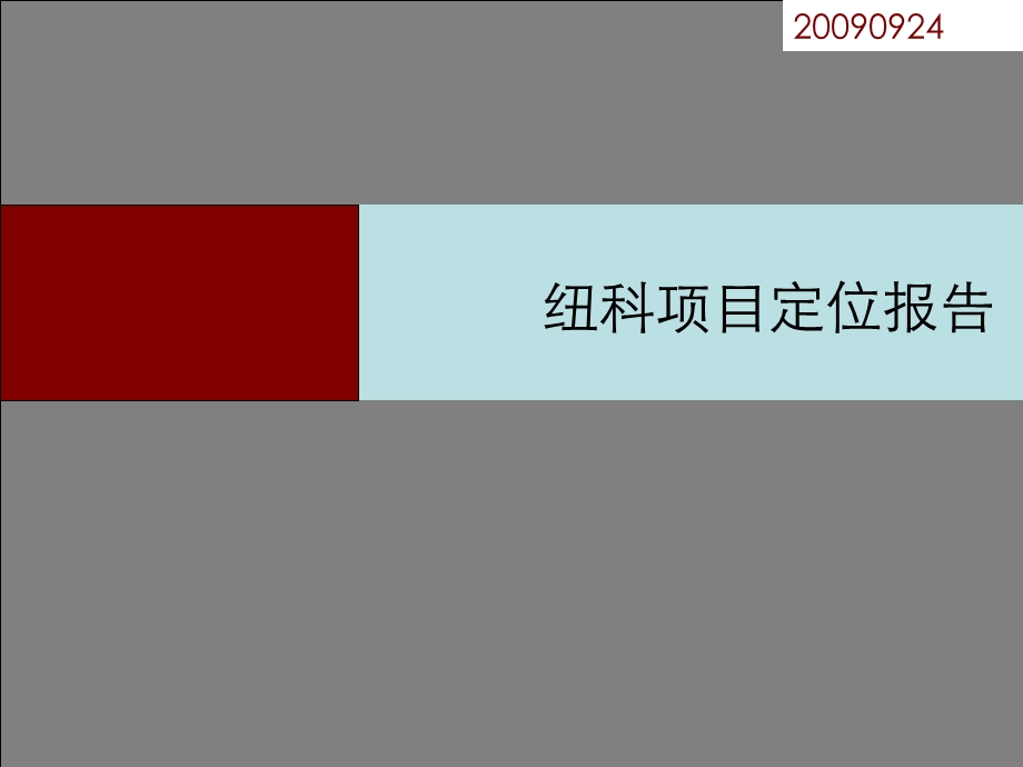 郑州纽科项目定位报告提交版104p.ppt_第1页