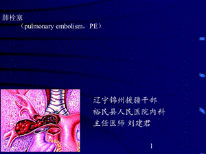 [精彩]肺栓塞讲课.ppt