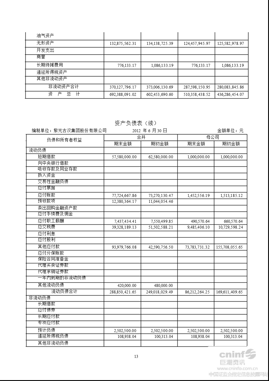 紫光古汉：半审计报告.ppt_第3页