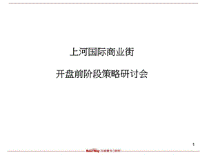 上河国际商业街开盘前阶段策略研讨会报告.ppt