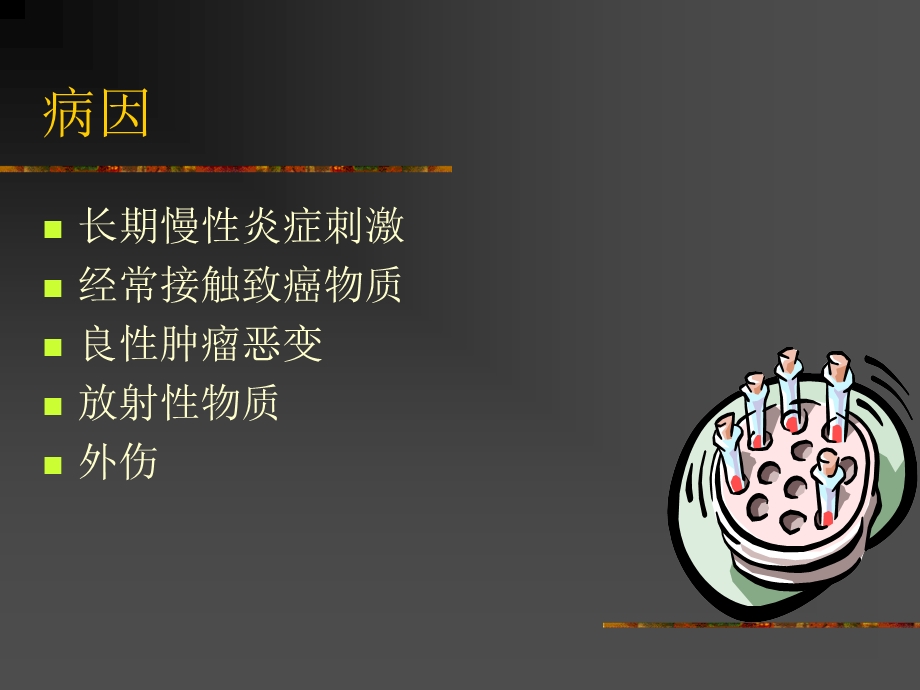 鼻腔及鼻窦恶性肿瘤.ppt.ppt_第3页