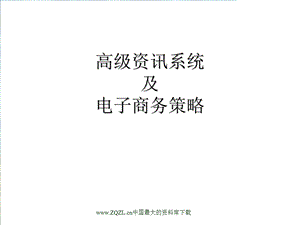 高级资讯系统及电子商务策略.ppt