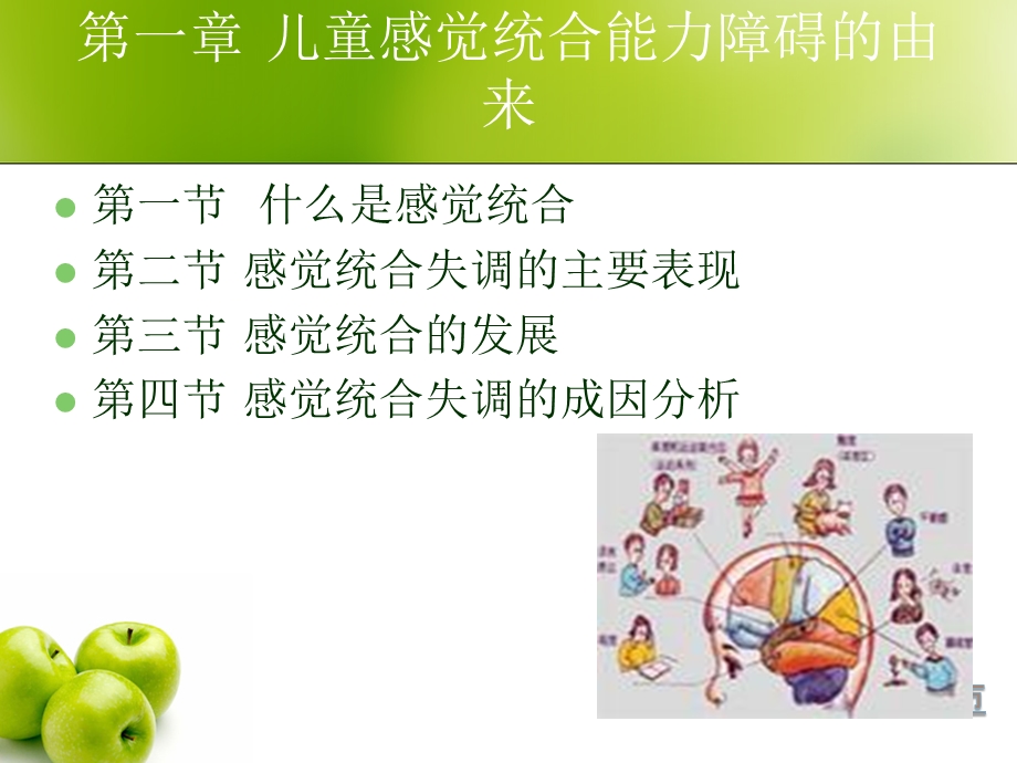 儿童感觉统合训练.ppt.ppt_第2页