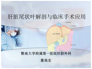 肝脏尾状叶图文.ppt