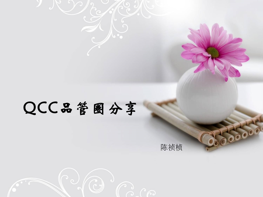 QCC对策拟定[精华].ppt_第1页