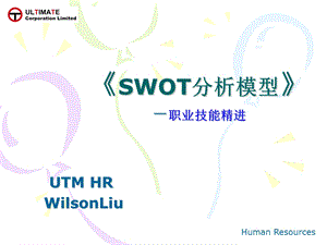 swot分析模型中英文版.ppt